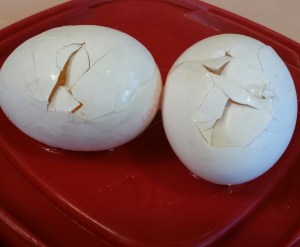 Slim pickings over at the 'ol hatchery